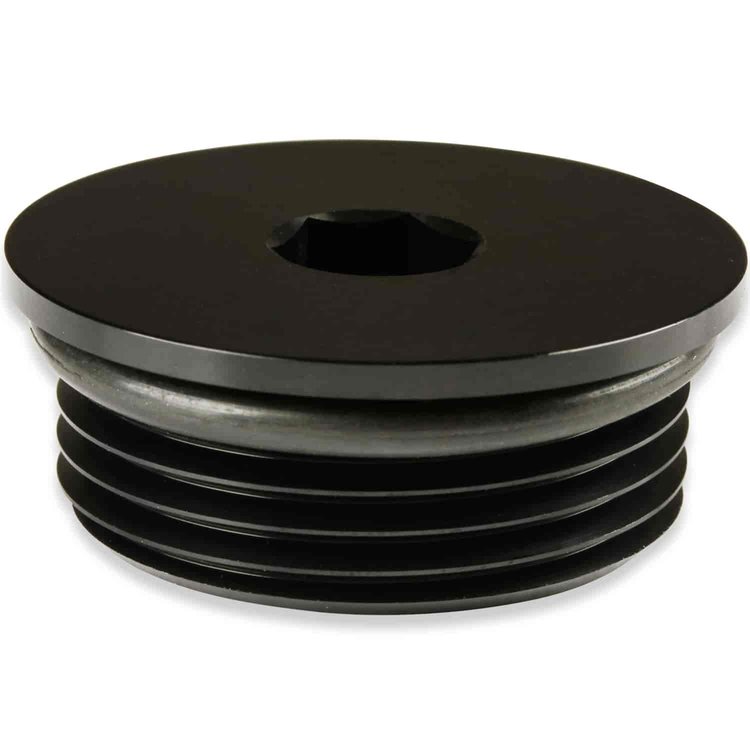 Low-Profile AN Port Plug