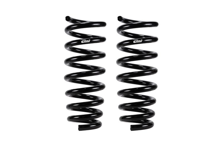 E10-20-022-08-20 PRO-KIT Performance Springs Set of 2 Springs