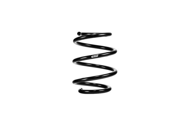 PRO-KIT LOWERING SPRINGS