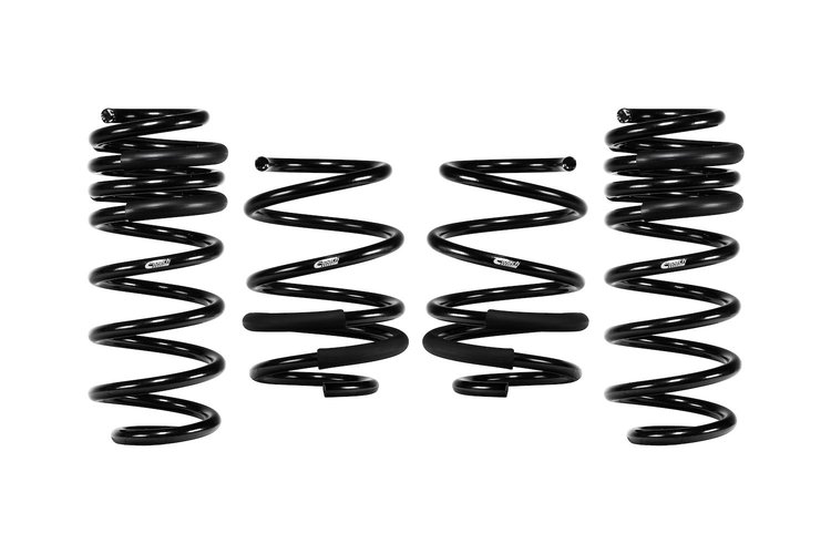 PRO-KIT LOWERING KIT