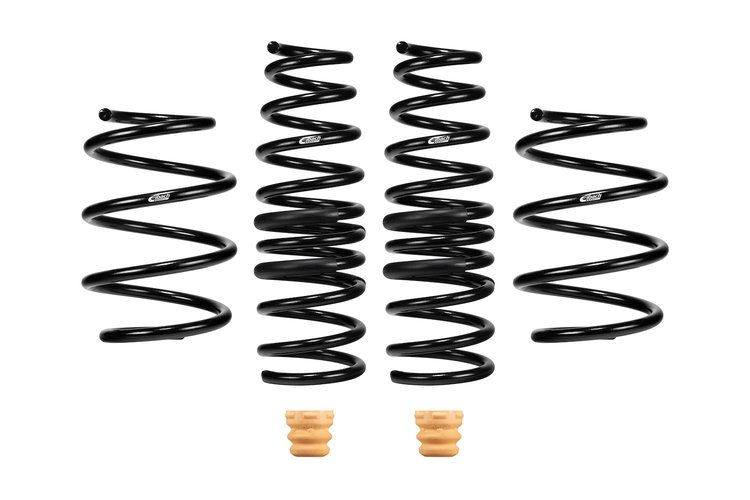 PRO-KIT LOWERING SPRINGS