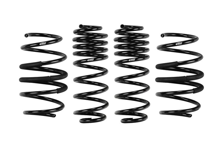 E10-82-087-01-22 LOWERING SPRING SET