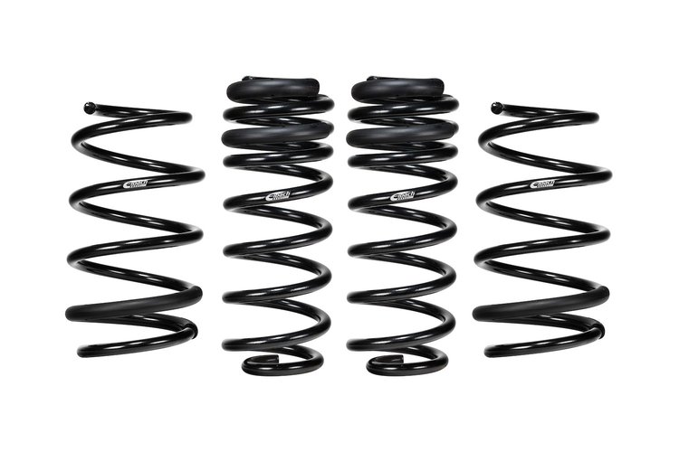 PRO-KIT LOWERING SPRINGS