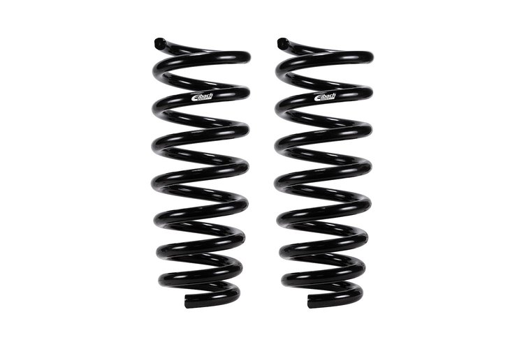 SET OF 2 SPRINGS