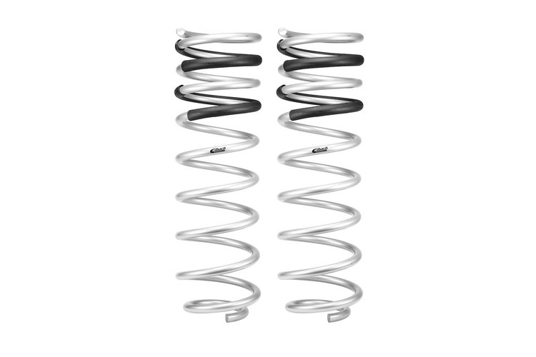 E30-35-060-02-02 LIFT SPRINGS REAR F150 PR
