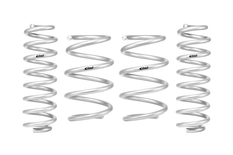 PRO-LIFT KIT SPRINGS