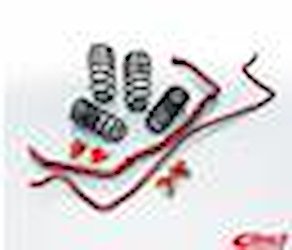 E43-57-004-01-22 PRO-PLUS SPRINGS/SWAY BAR