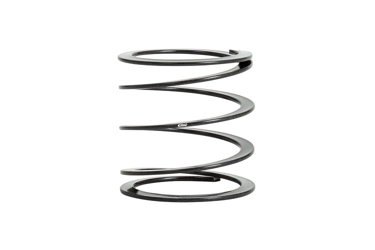 SINGLE SPRING