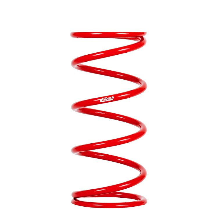 1400.500.0100 REAR SPRING