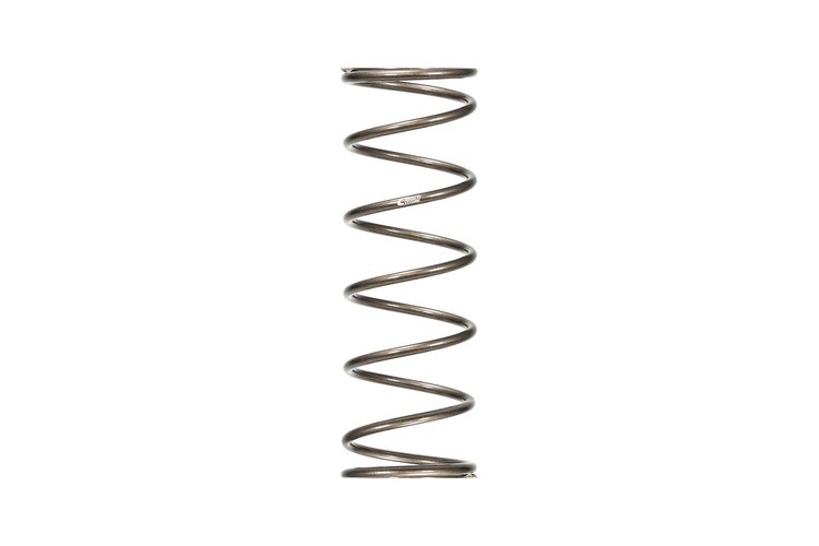 PR1600.500.0100 RR SPRING