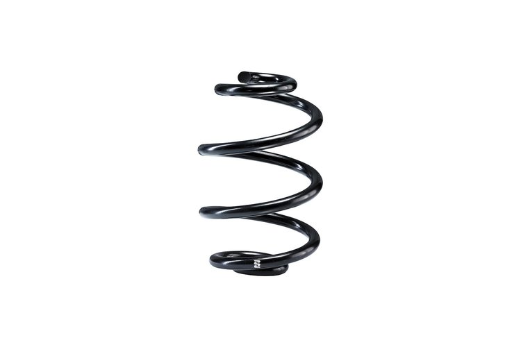 S RR SPRING 99-06 BMW