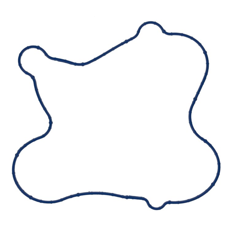 WATER PUMP GASKET