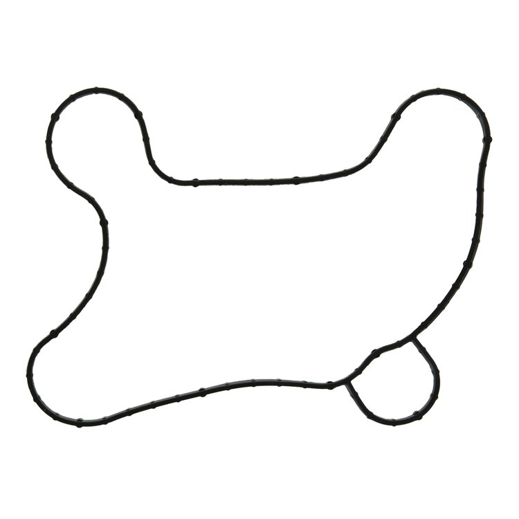 WATER PUMP GASKET