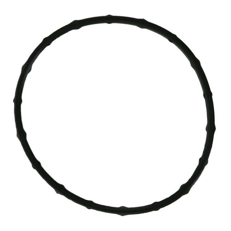 ENG COOLANT GASKET