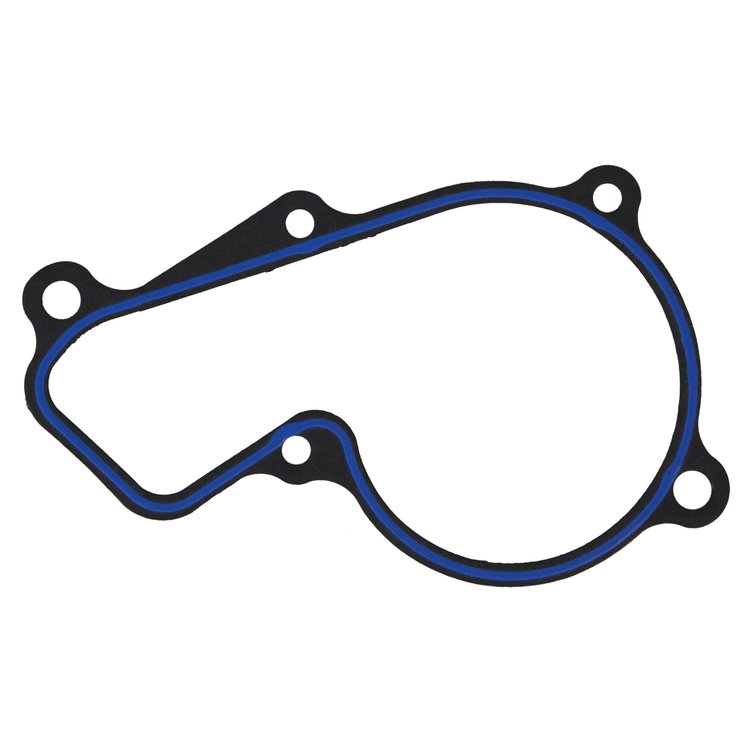 WATER PUMP GASKET