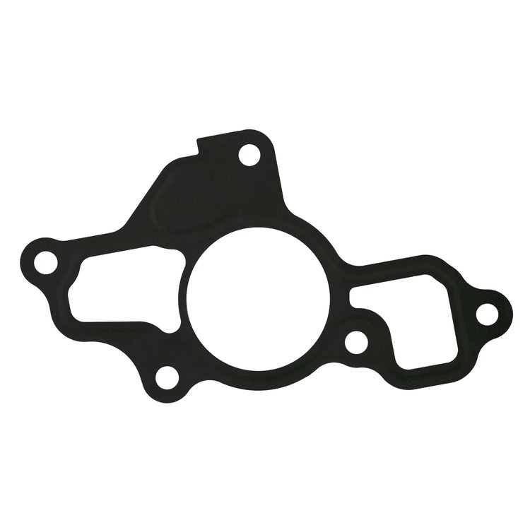 ENG COOLANT GASKET