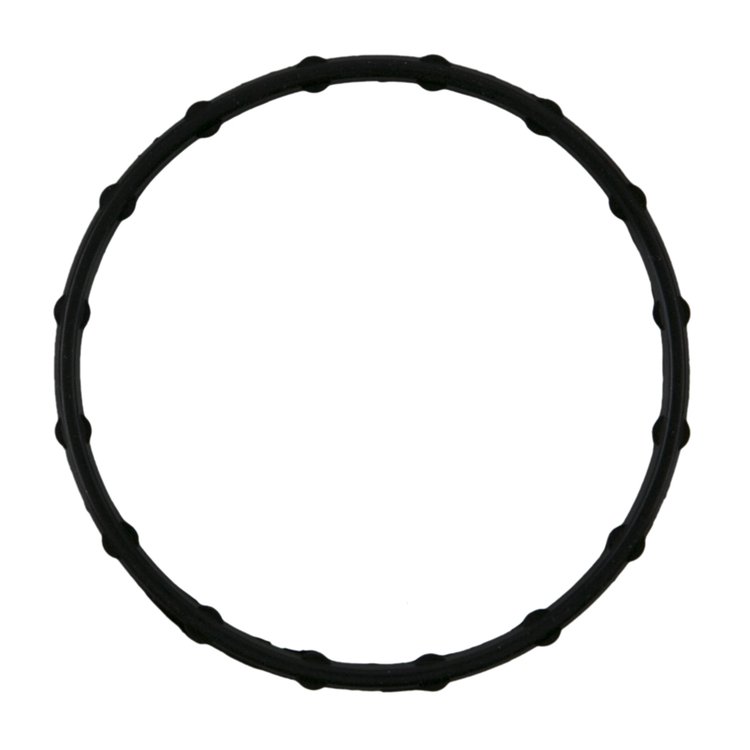 ENG COOLANT GASKET