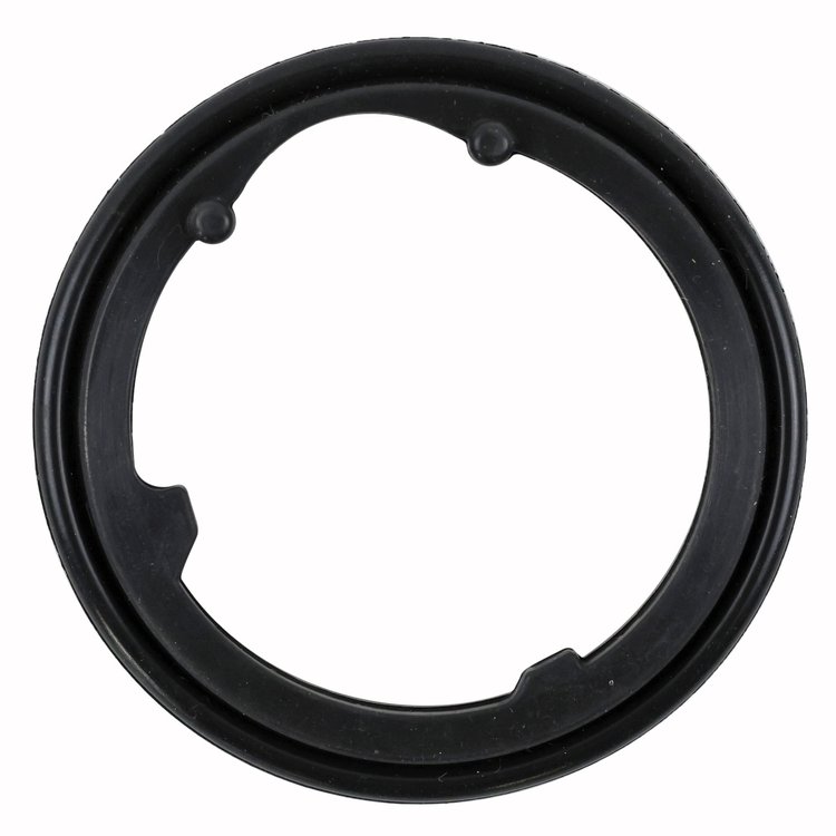 THERMOSTAT GASKET