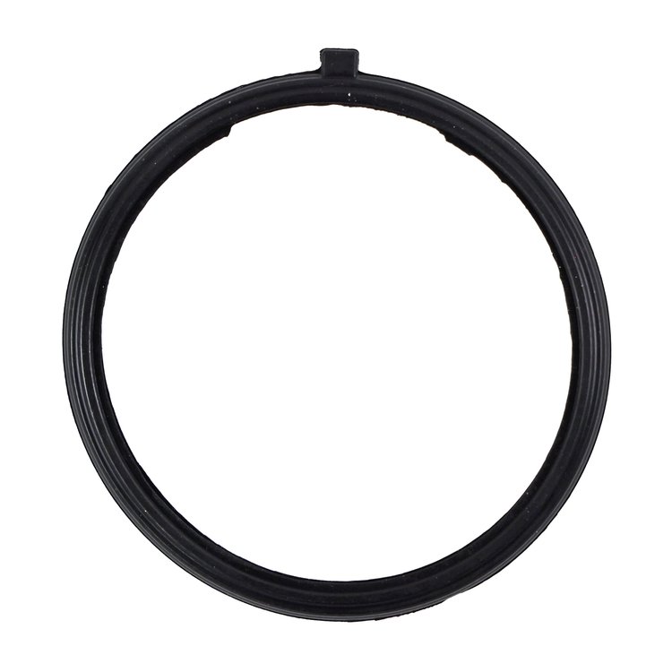 THERMOSTAT GASKET