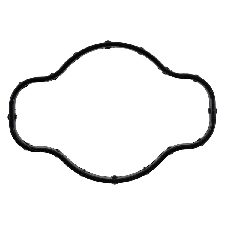 THERMOSTAT HOUSING GASKET