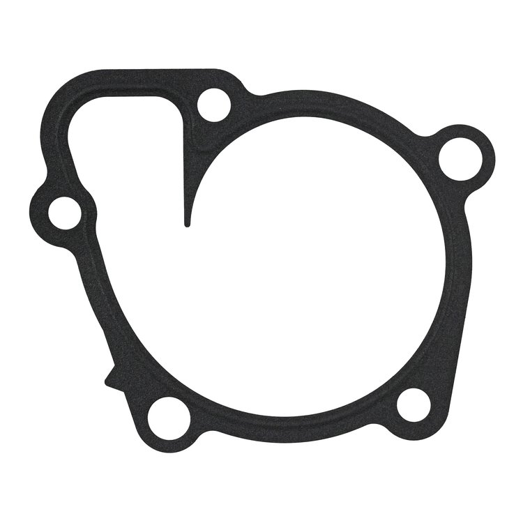 WATER PUMP GASKET