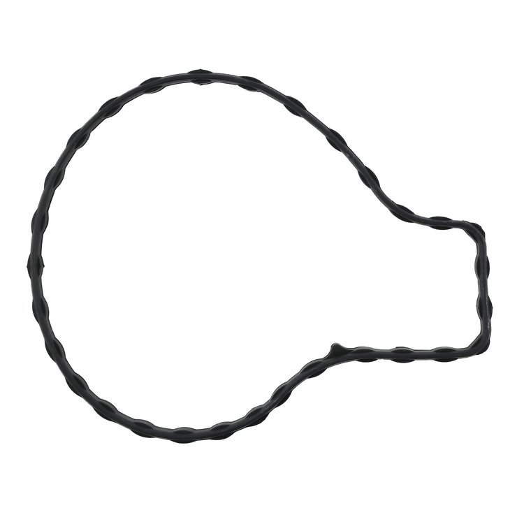 WATER PUMP GASKET