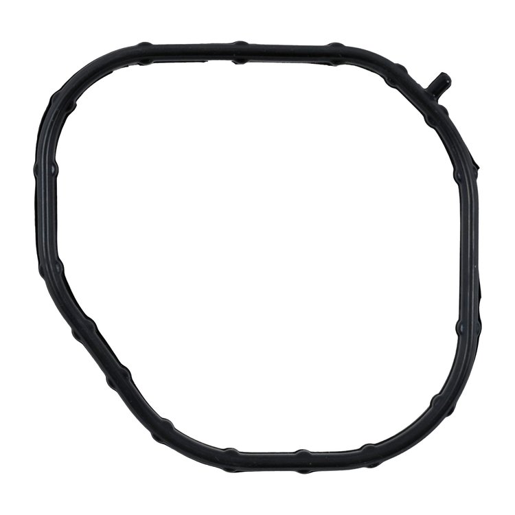 THERMOSTAT HOUSING GASKET