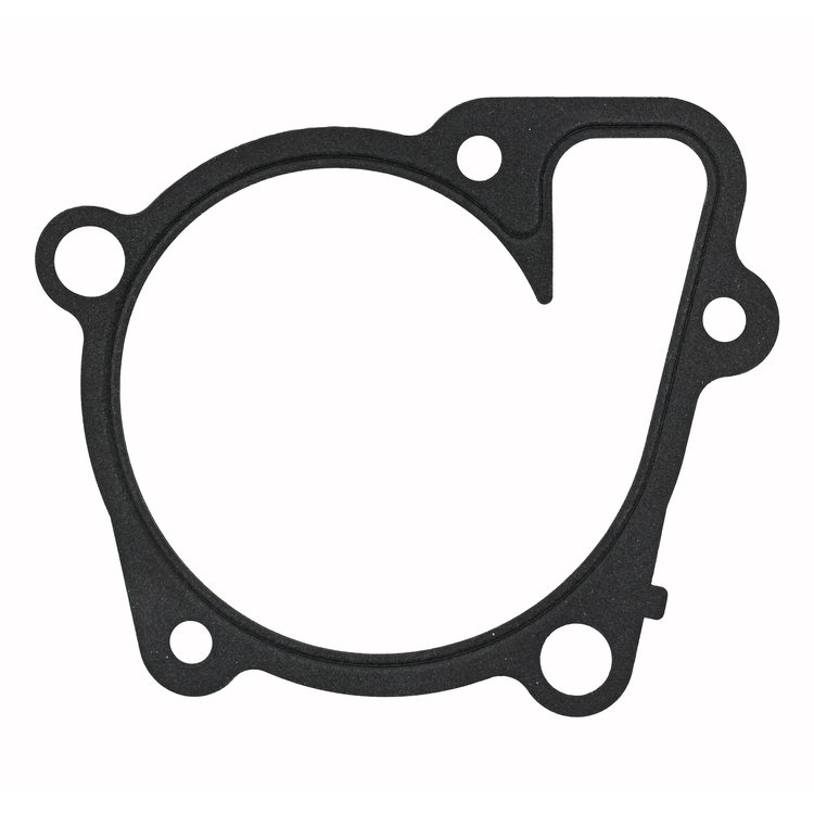WATER PUMP GASKET