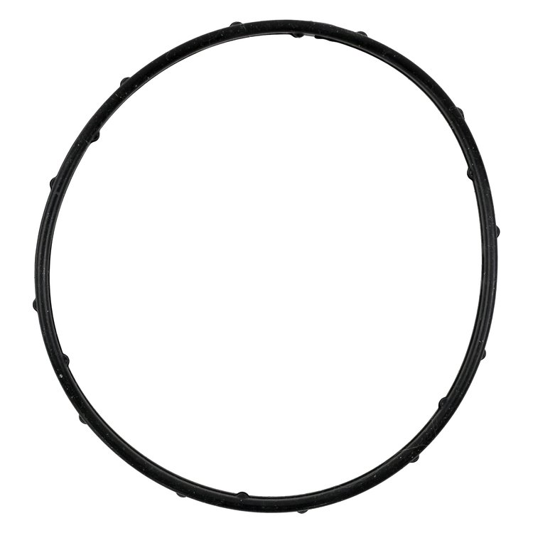 THERMOSTAT GASKET