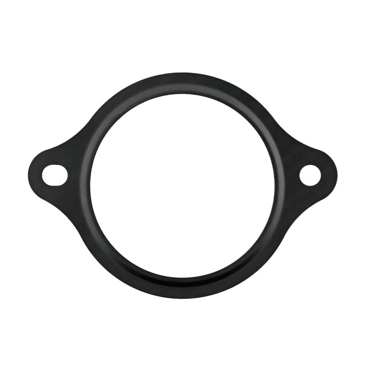THERMOSTAT HOUSING GASKET