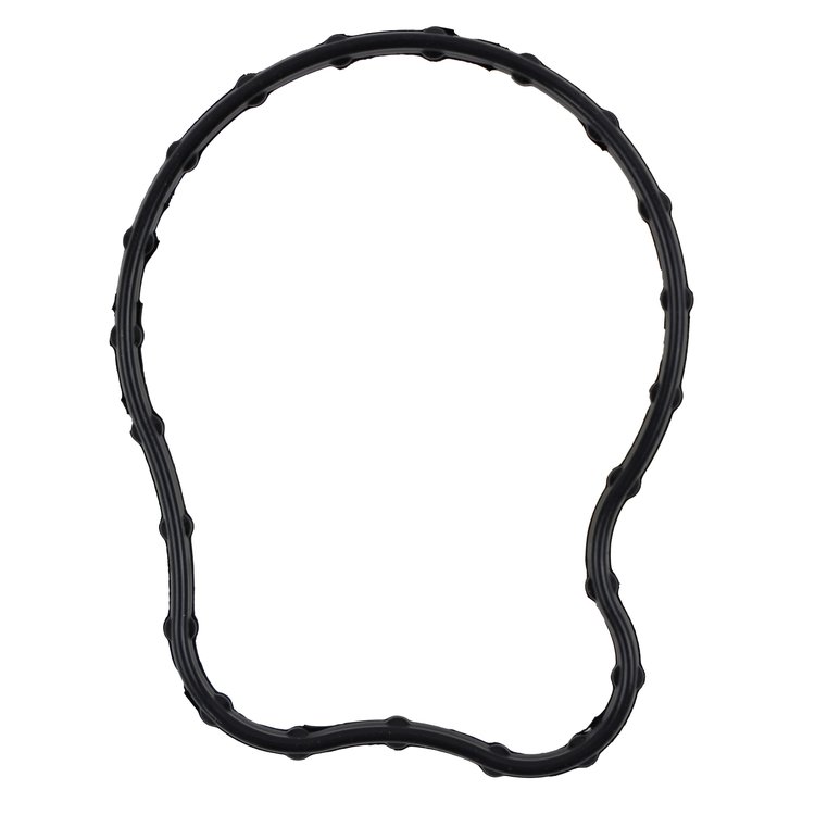 THERMOSTAT HOUSING GASKET