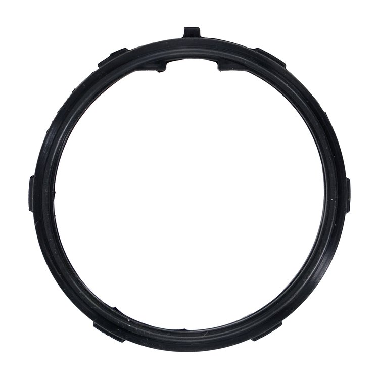 THERMOSTAT GASKET