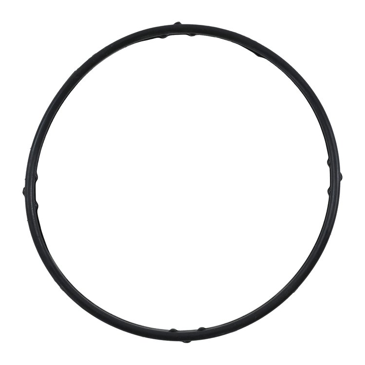 LOWER THERMOSTAT GASKET