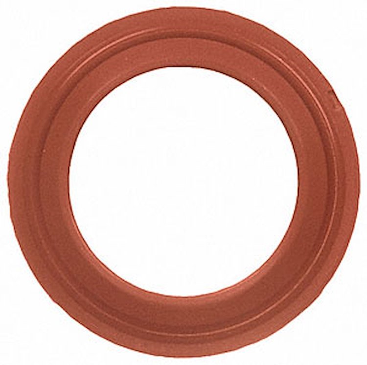 EGR Gasket
