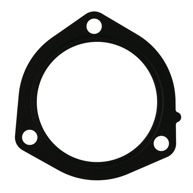 FUEL PUMP MOUNT GSKT