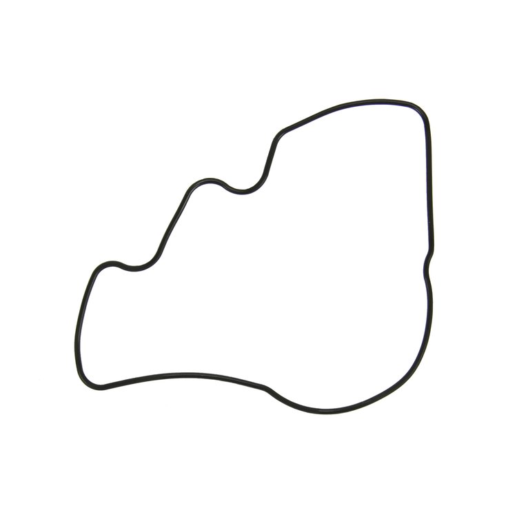 ENGINE OIL PUMP SEAL