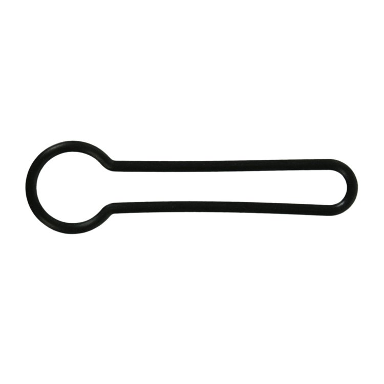REGULATOR SEAL