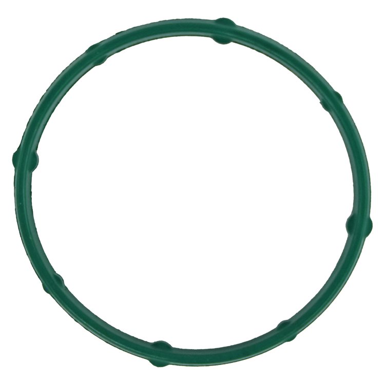 EGR GASKET