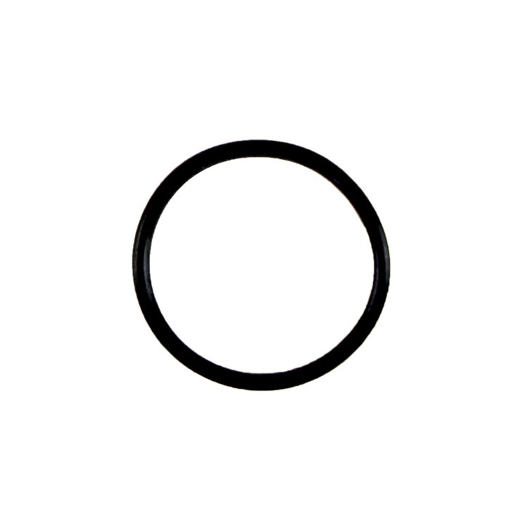 OIL PUMP PICKUP O-RING