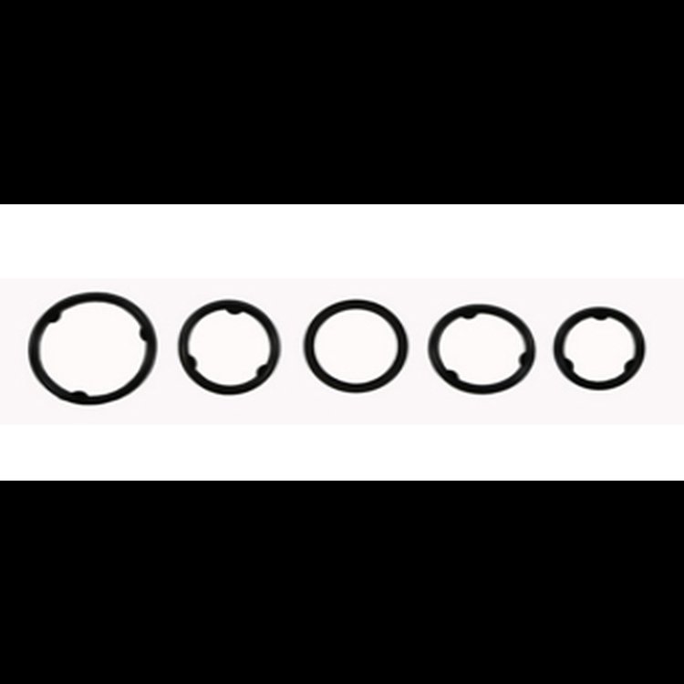 Engine Oil Cooler Adapter Seal Set for Select 2014-2020 Mopar Models with 3.6L V6 Engine