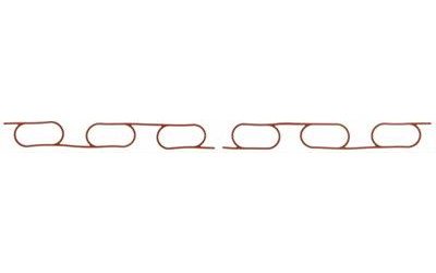 INTAKE MANIFOLD GASKET 1998-1996 BMW L6 2.5L DOHC 2.8L DOHC M52B25 M54B25 M52B28