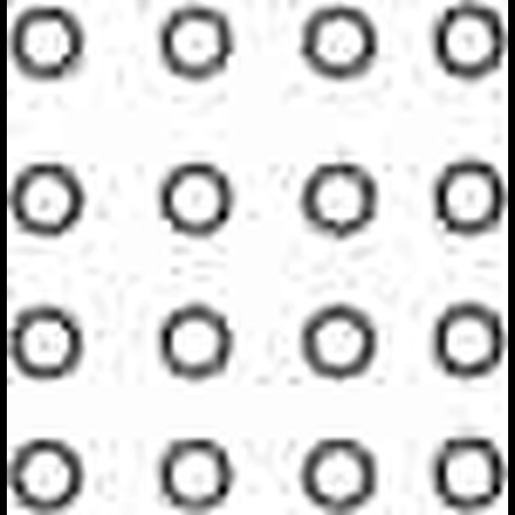 VALVE STEM SEAL SET; 1955 STT L/D V8 224CI 3.7L OHV; 1954-1951 ST V8 232CI 3.8L OHV; 1954 STT L/D V8