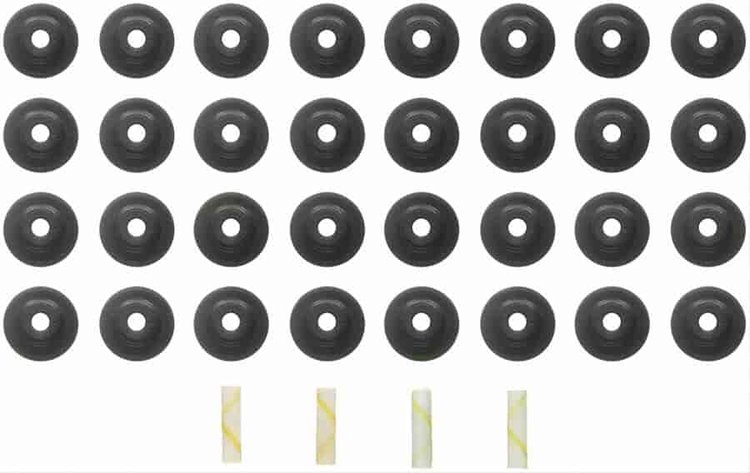 VALVE STEM SEAL SET; 2004-1995 FO V8 281CI 4.6L DOHC 32 Valve; 2004-2003 FO V8 281CI 4.6L DOHC Super