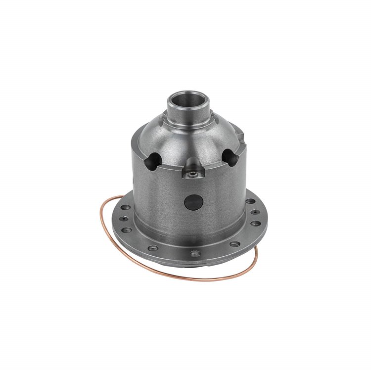 RD81 Air Locker Differential
