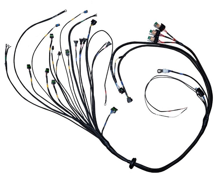 FT450 or FT550 ECU 4 Cylinder "A" Harness