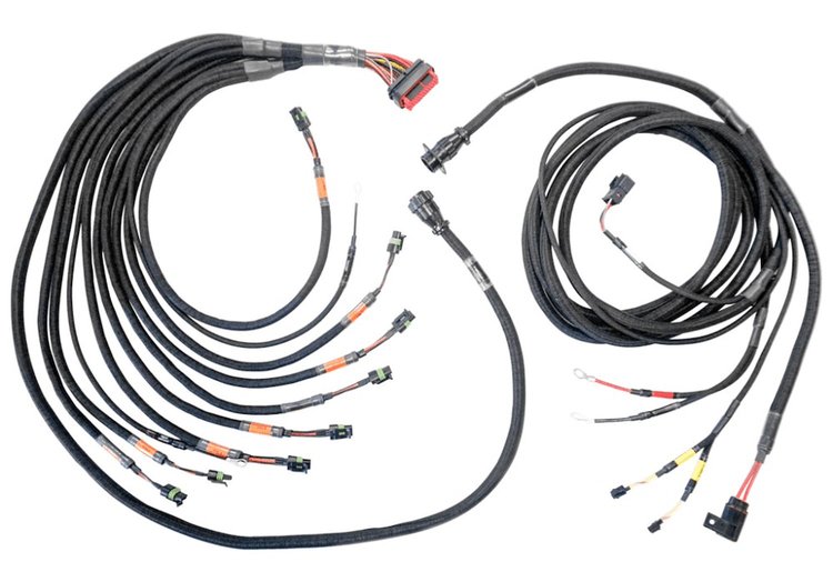2002110981 PRO550/600 V8 CDI Module and Coils Harness [Ford]
