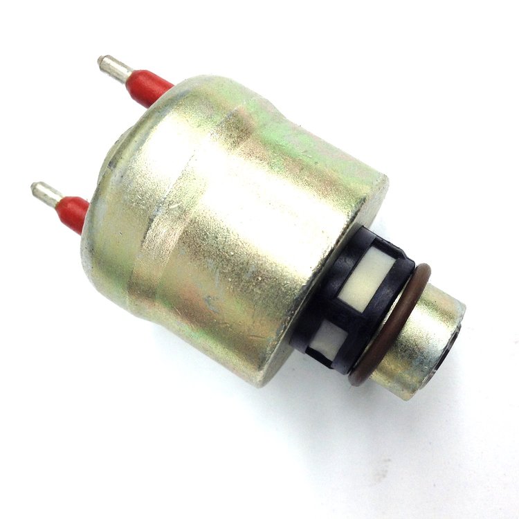 2498 Remanufactured Fuel Injector