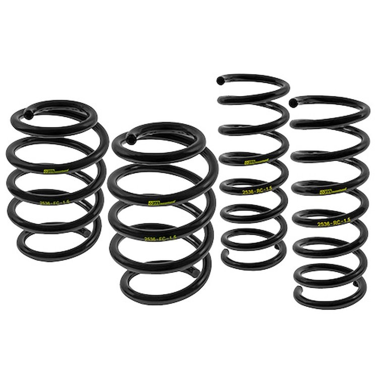 Mountune Lowering Spring Kit