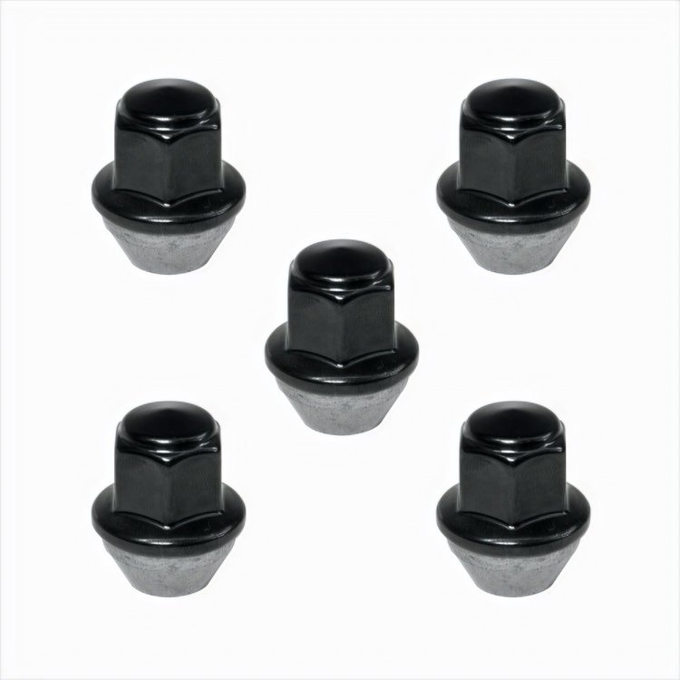 BLACK LUG NUT KIT 5 PCS