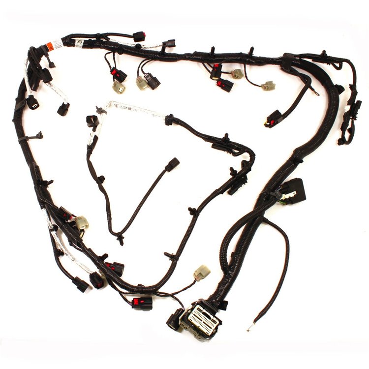 Engine Wiring Harness